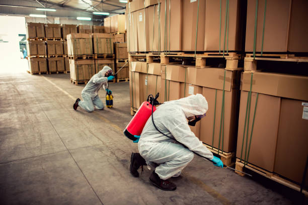 Best Commercial Pest Control Services  in New London, OH