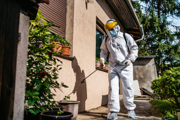 Best Residential Pest Control  in New London, OH