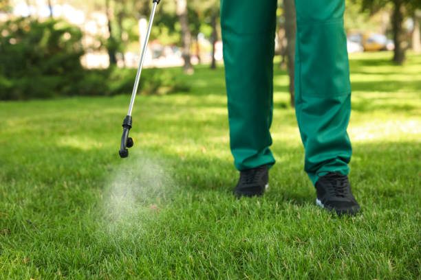  New London, OH Pest Control Pros