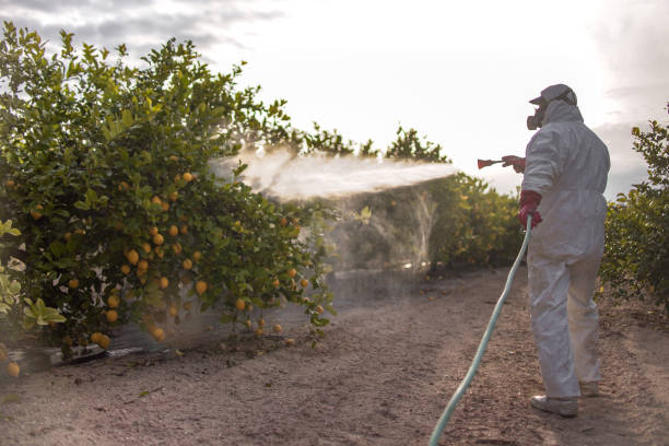 Best Best Pest Control Companies  in New London, OH